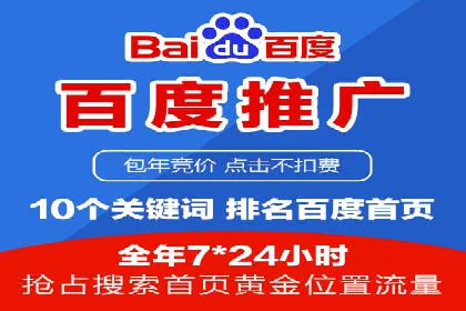 百度搜索引擎优化推广：成功案例揭秘